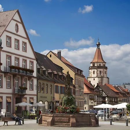 Flora Und Fauna By Kamelu 公寓 *