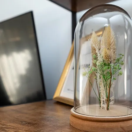 公寓 Flora Und Fauna By Kamelu 哥根巴赫